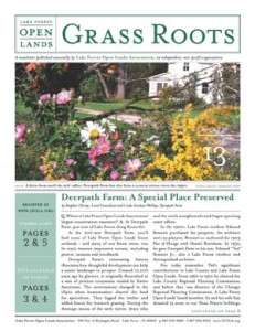 2013_03-Spring-Grassroots_cover300